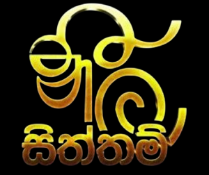 Sri Siththam - client of Silicon Radon Networks